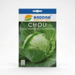 SEMENCE-CHOU-CABUS-MARCHE-DE-COPENHAGUE-BADDAR Agriclic.tn
