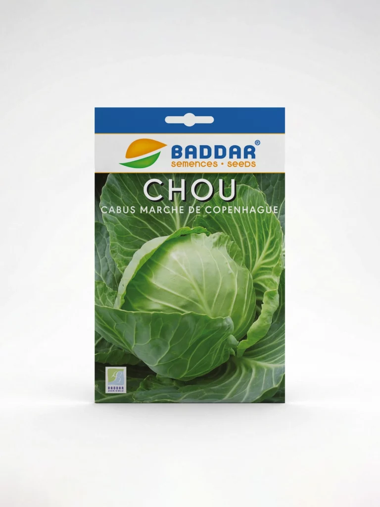 SEMENCE-CHOU-CABUS-MARCHE-DE-COPENHAGUE-BADDAR Agriclic.tn