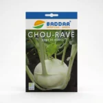 SEMENCE-CHOU-RAVE-HATIF-DE-VIENNE-BADDAR Agriclic.tn