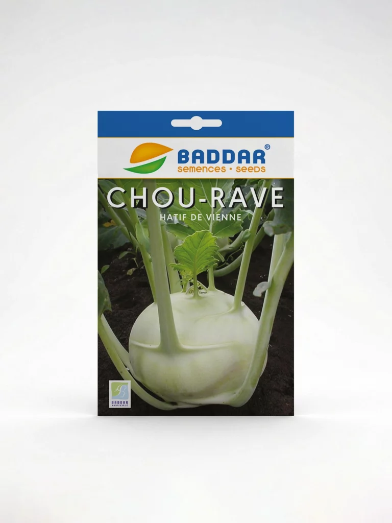 SEMENCE-CHOU-RAVE-HATIF-DE-VIENNE-BADDAR Agriclic.tn