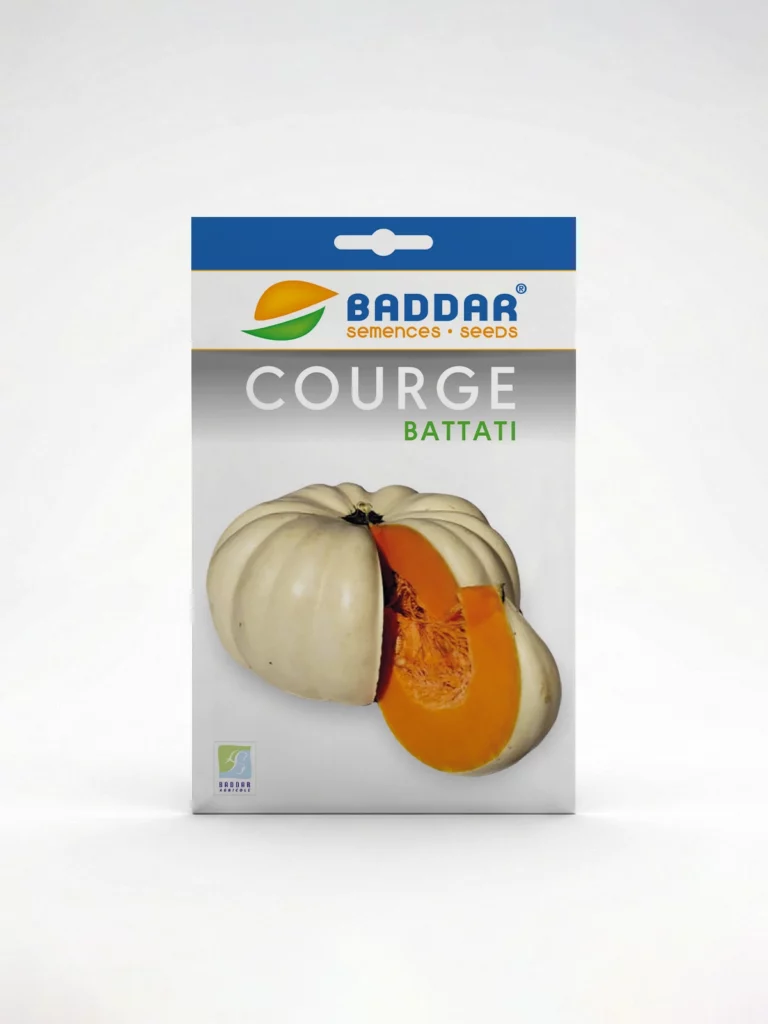 SEMENCE-COURGE-BATTATI Agriclic.tn