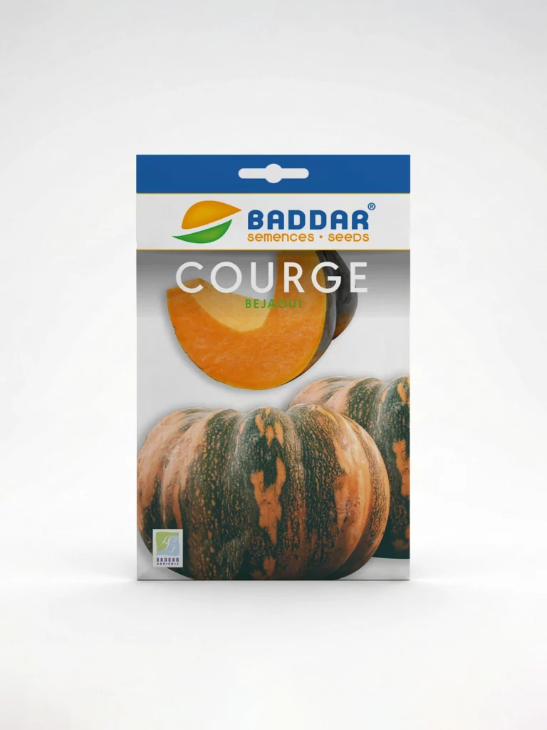 SEMENCE-COURGE-BEJAOUI-BADDAR Agriclic.tn