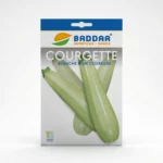 SEMENCE COURGETTE BLANCHE BADDAR Agriclic.tn