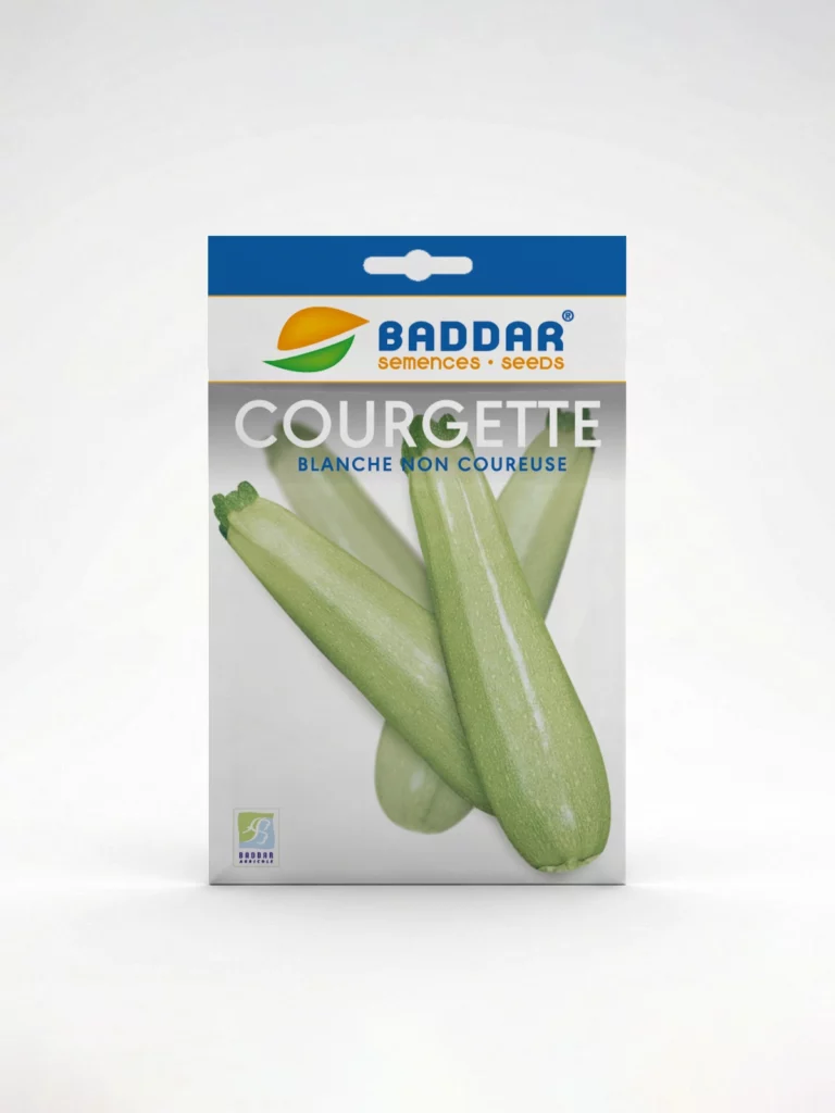 SEMENCE COURGETTE BLANCHE BADDAR Agriclic.tn