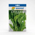 SEMENCE-EPINARD-COMMUN-BADDAR Agriclic.tn