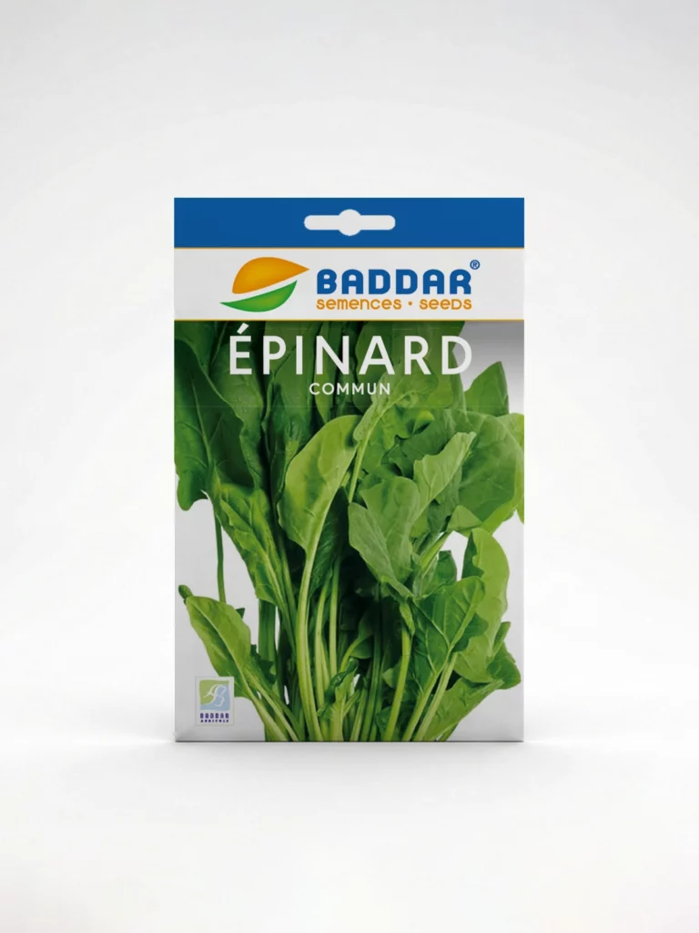 SEMENCE-EPINARD-COMMUN-BADDAR Agriclic.tn