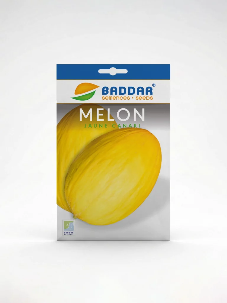 SEMENCE-MELON-JAUNE-CANARIA-BADDAR Agriclic.tn