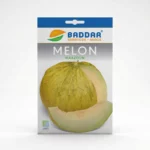 SEMENCE MELON MAAZOUN BADDAR Agriclic.tn