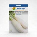 SEMENCE-NAVET-MARTEAU-BADDAR Agriclic.tn