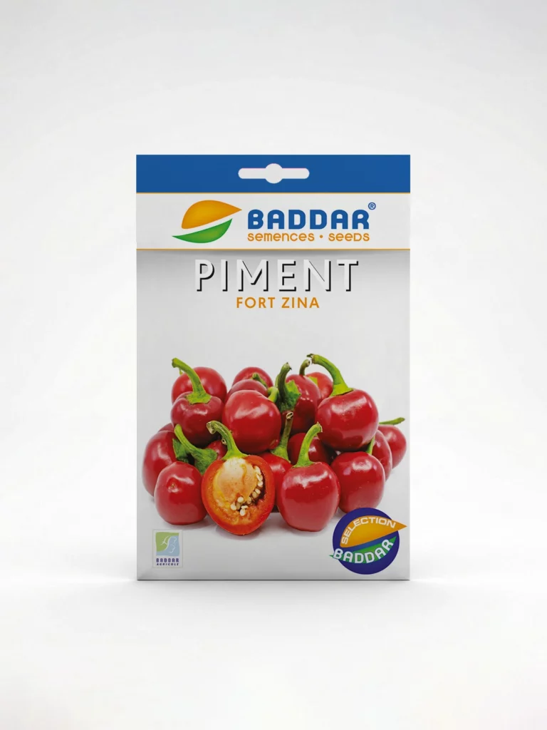SEMENCE PIMENT JERIDI BADDAR Agriclic.tn