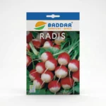 SEMENCE-RADIS-NATIONAL-BADDAR Agriclic.tn