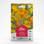 Semance Giroflée Agriclic.tn