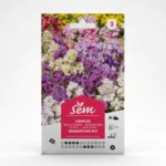 Semance Giroflée Agriclic.tn