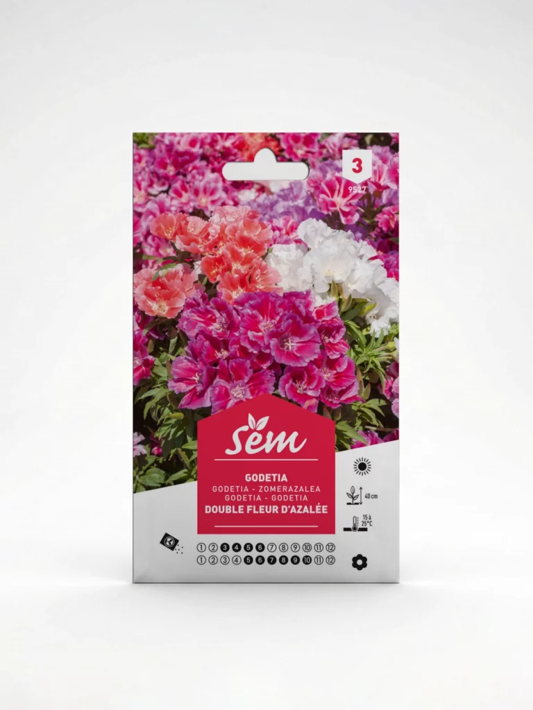 Semance Godetia Agriclic.tn