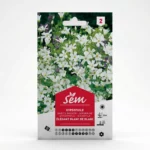 Semance Gypsophyle Agriclic.tn