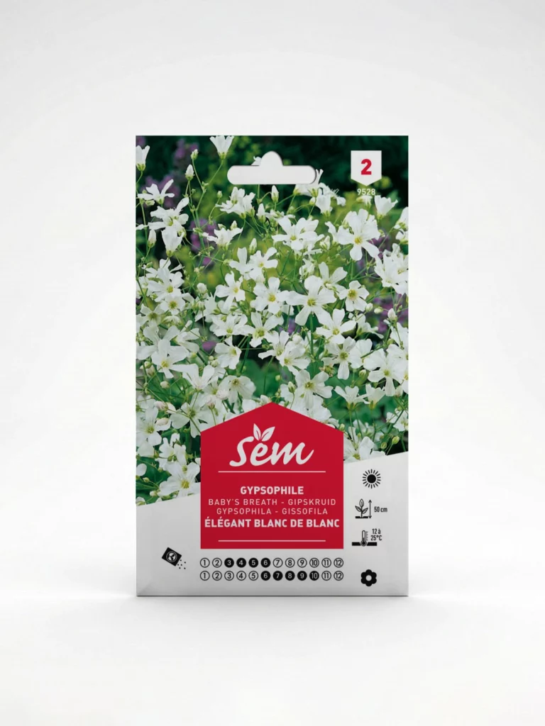 Semance Gypsophyle Agriclic.tn