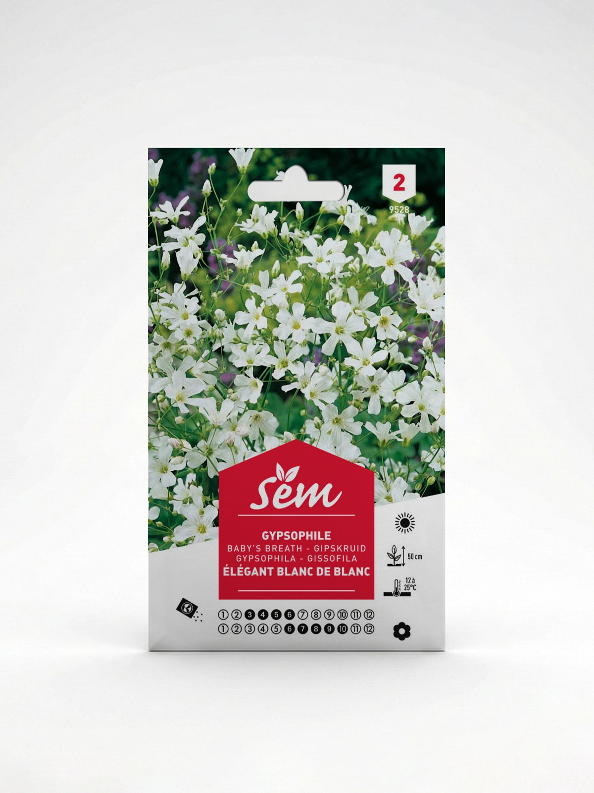 Semance Gypsophyle Agriclic.tn Semance Gypsophyle Agriclic.tn