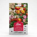 Semance Immortèle Agriclic.tn