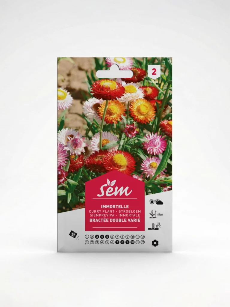 Semance Immortèle Agriclic.tn