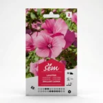 Semance Lavatère Agriclic.tn