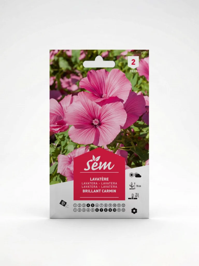 Semance Lavatère Agriclic.tn