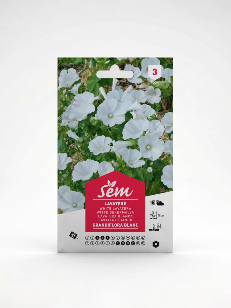 Semance Lavatère blanc Agriclic.tn