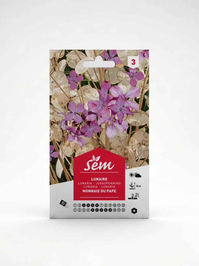 Semance lunnaire monnaie du pape Agriclic.tn