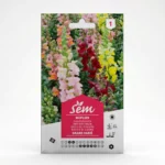 Semance Muflier Agriclic.tn