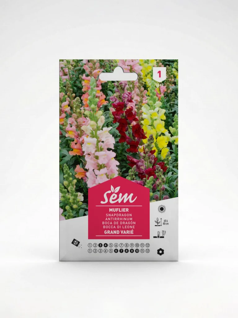 Semance Muflier Agriclic.tn