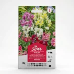 Semance Muflier nain Agriclic.tn