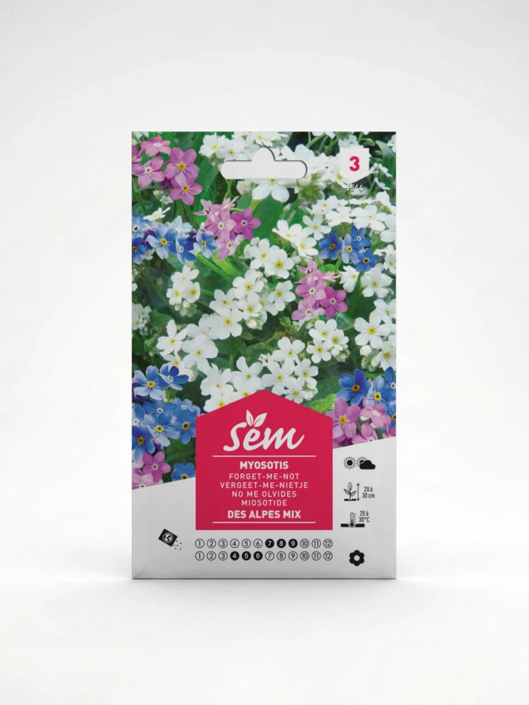 Semance Myosotis Agriclic.tn