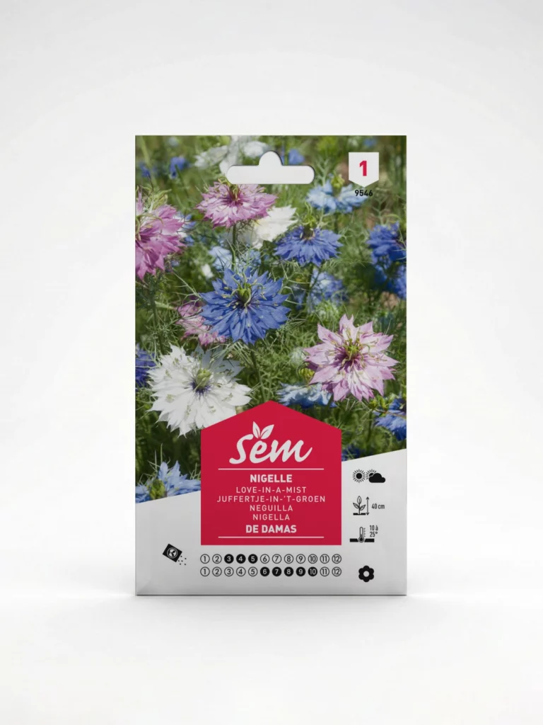 Semance Nigelle de Damas Agriclic.tn