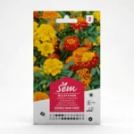 Semance Oeillet d'inde Agriclic.tn