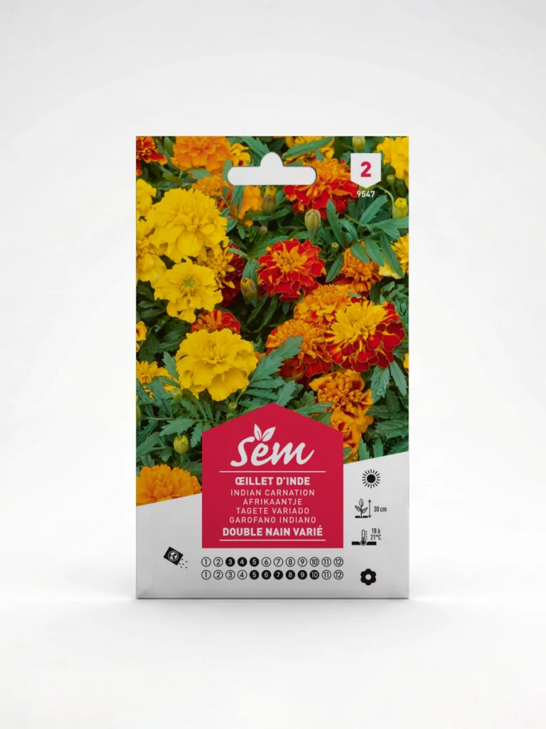 Semance Oeillet d'inde Agriclic.tn