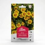 Semance Oeillet légion d'honneur Agriclic.tn