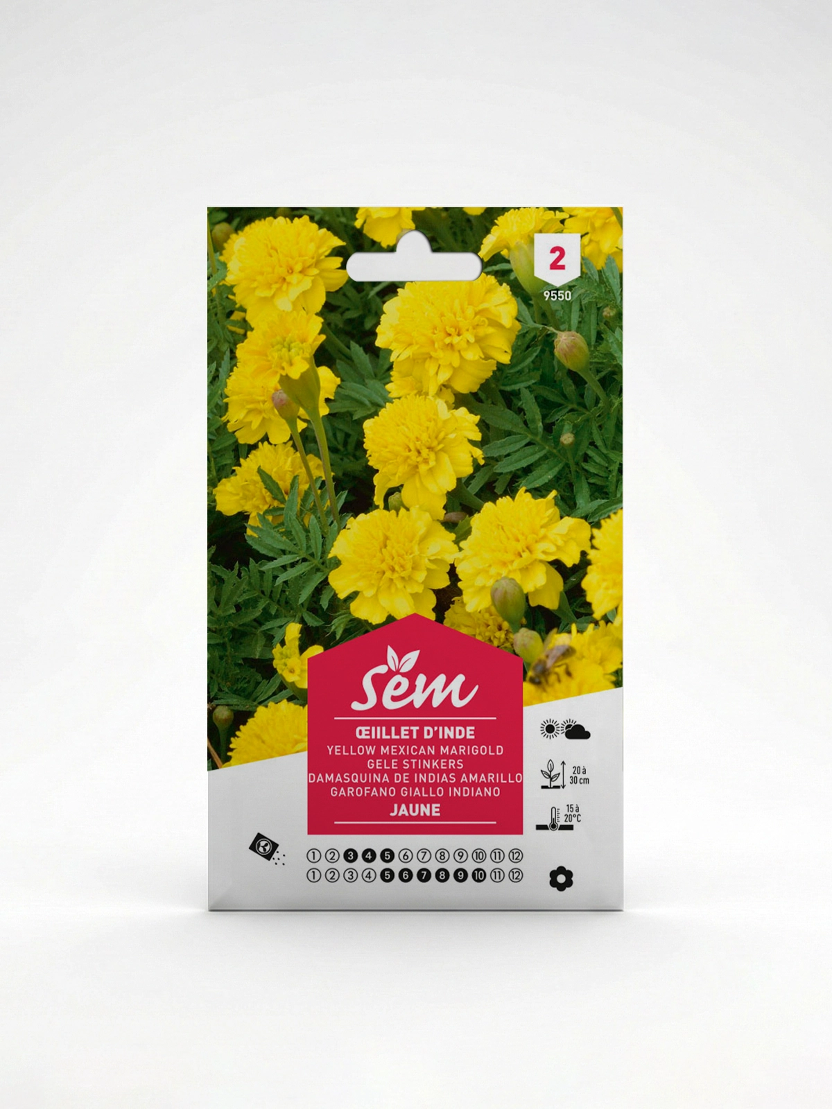 Semance Oeillet d'Inde jaune Agriclic.tn Semance Oeillet d'Inde jaune Agriclic.tn