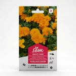 Semance Oeillet d'Inde double nain Agriclic.tn