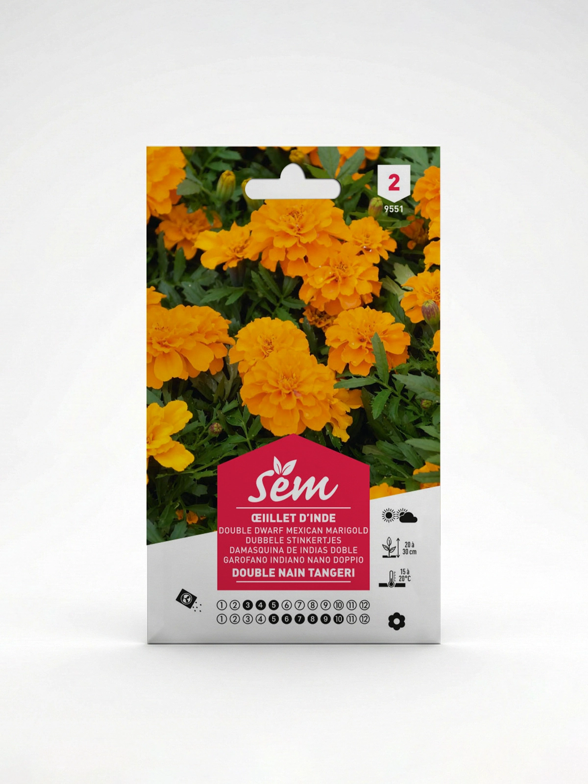 Semance Oeillet d'Inde double nain Agriclic.tn Semance Oeillet d'Inde double nain Agriclic.tn