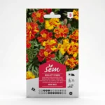 Semance Oeilley d'Inde mini mix Agriclic.tn