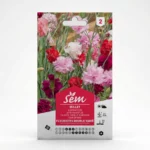 Semance Oeillet fleuriste Agriclic.tn