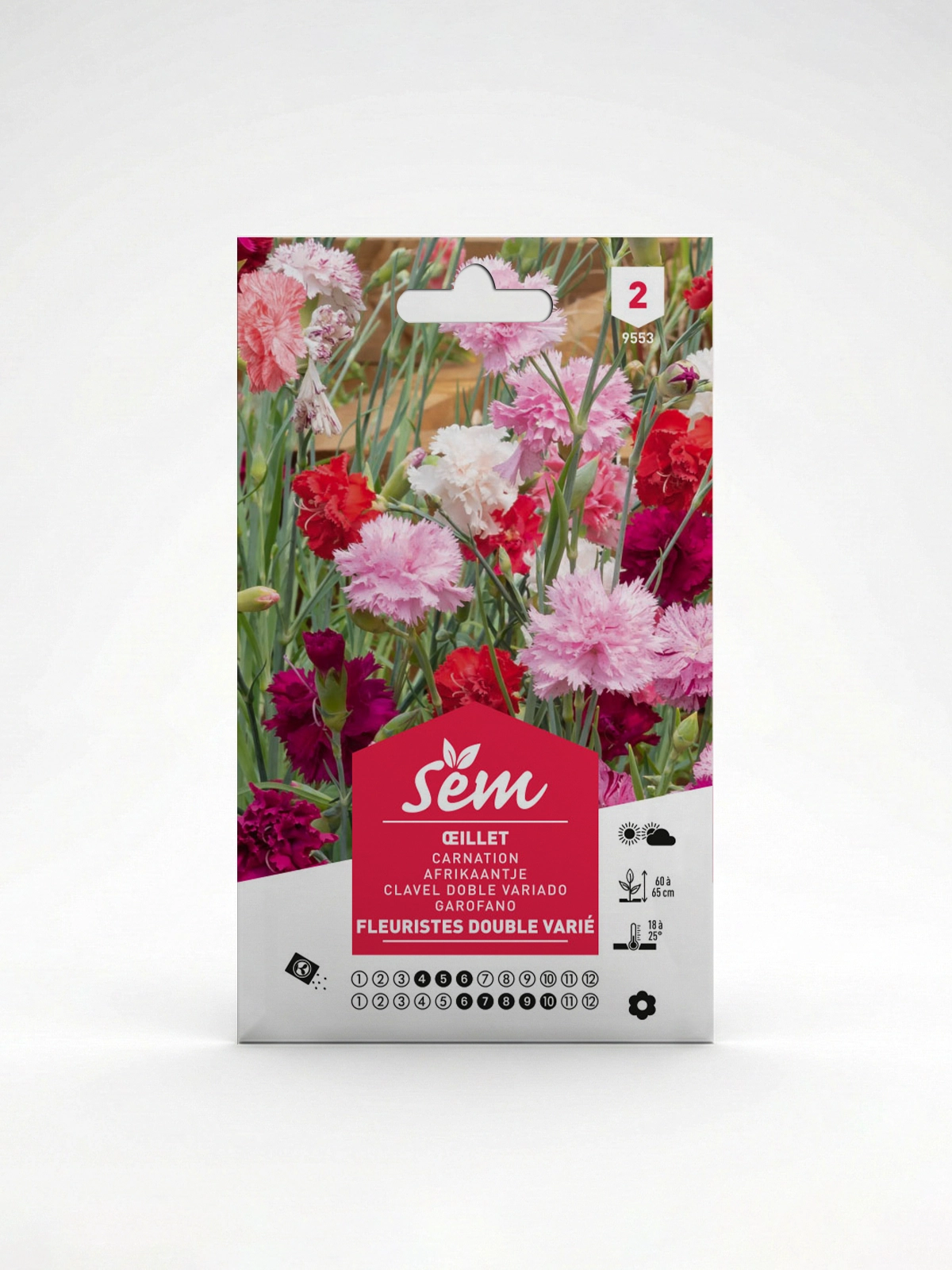 Semance Oeillet fleuriste Agriclic.tn Semance Oeillet fleuriste Agriclic.tn