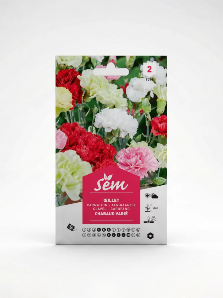 Semance Oeillet Agriclic.tn