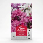 Semance Oeillet mignardise Agriclic.tn