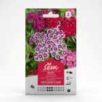 Semance Oeillet poète Agriclic.tn