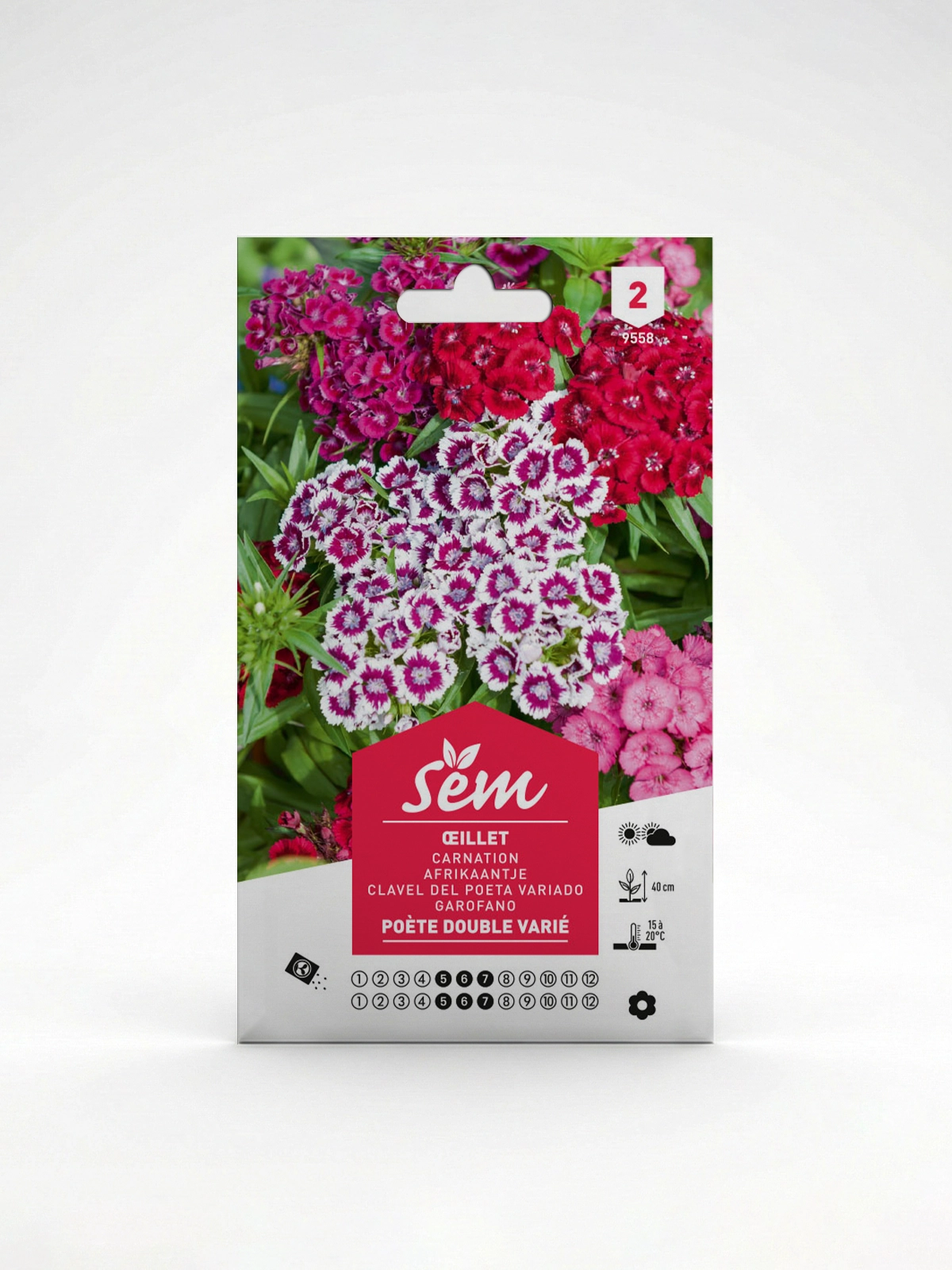 Semance Oeillet poète Agriclic.tn Semance Oeillet poète Agriclic.tn