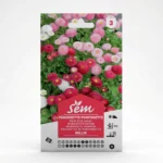 Semance Paquerette pomponette Agriclic.tn