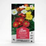Semance Pavot d'Islande Agriclic.tn