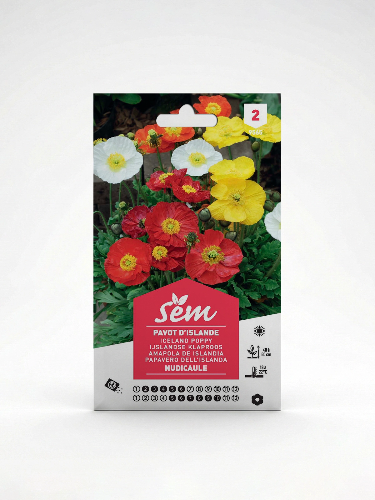 Semance Pavot d'Islande Agriclic.tn Semance Pavot d'Islande Agriclic.tn