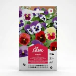 Semance pensée géante de Suisse en mélange Agriclic.tn