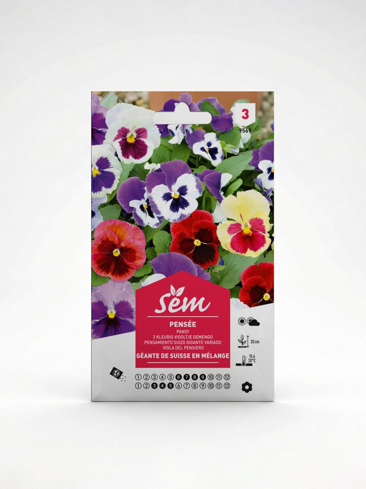 Semance pensée géante de Suisse en mélange Agriclic.tn Semance pensée géante de Suisse en mélange Agriclic.tn